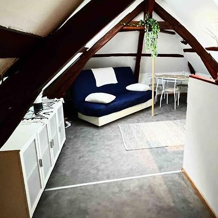 Tres Beau Studio Mansarde, Centre De Bourges Apartment Ngoại thất bức ảnh