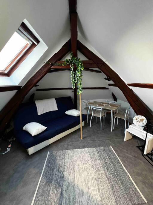 Tres Beau Studio Mansarde, Centre De Bourges Apartment Ngoại thất bức ảnh