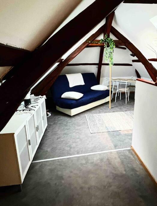 Tres Beau Studio Mansarde, Centre De Bourges Apartment Ngoại thất bức ảnh
